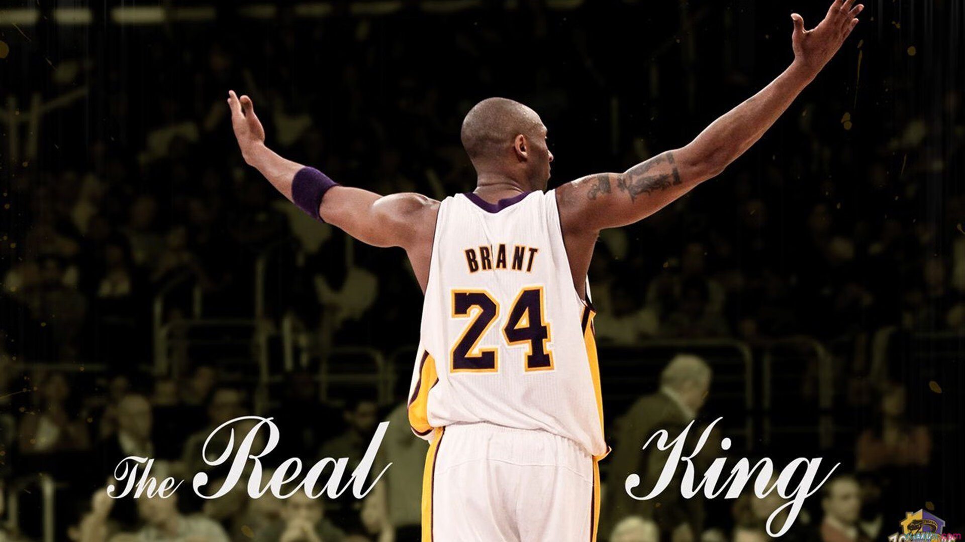 《ApexLegends》“天空之巅”地图爆料，战术层出不穷！